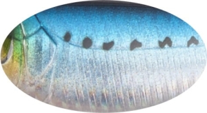 BABY BUSTER 10cm 25g Sinking 694-713