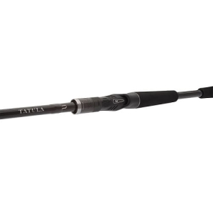 Daiwa Tatula XT Baitcast 2.08m 5-21g 2pc Cast