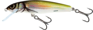Salmo Minnow 6cm 4g Holo Bleak FL
