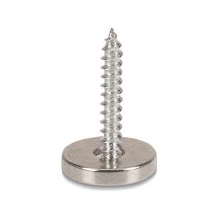 IRON CLAW Magnetic Stinger Bevestigingsschroeven 5pc