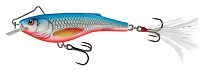 Rail Shad