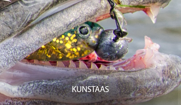 Kunstaas