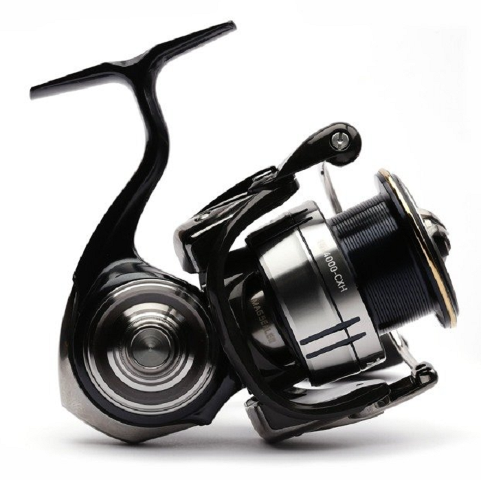 Daiwa 19 Certate-G LT 4000-CXH Viswinkel FDW
